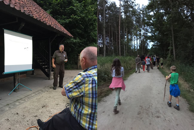 Muizenissen in het vleerbos Provincie Antwerpen